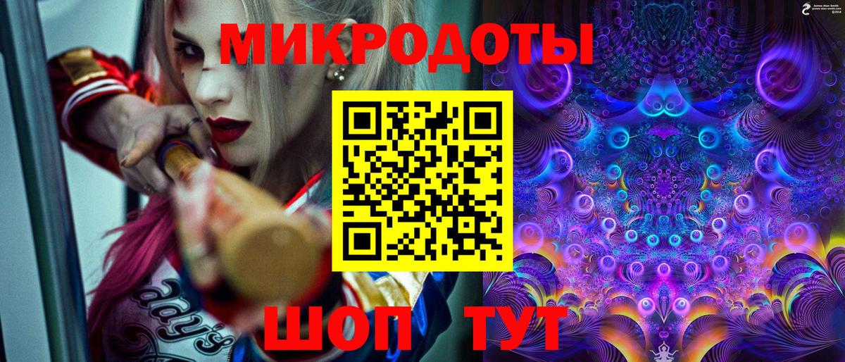 Псилоцибиновые грибы Psilocybine cubensis Красноармейск