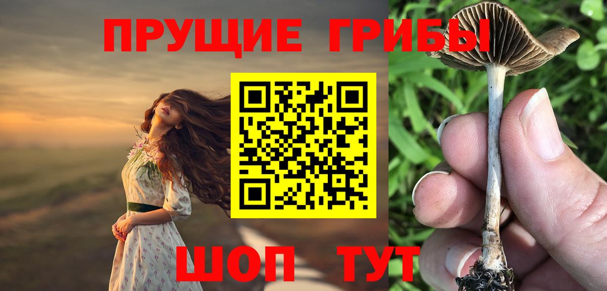 Красноармейск  купить  сайты  Вход с VPN  Галлюциногенные грибы мицелий 